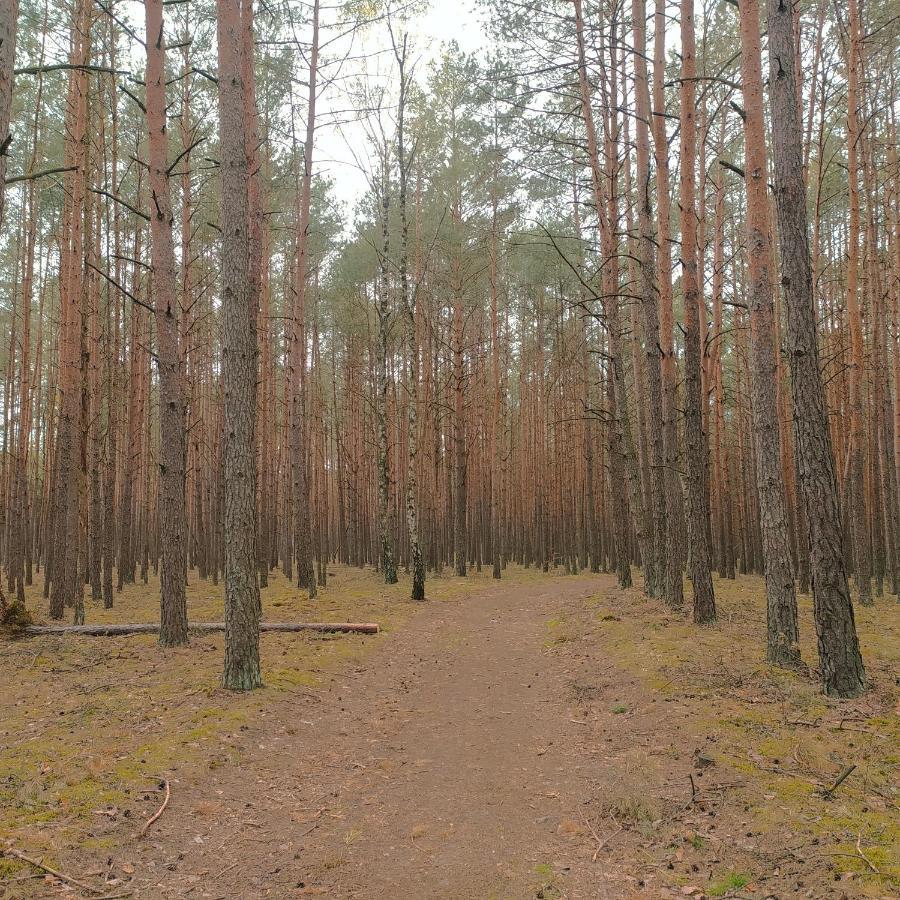 Вилла Kamiennikove Kamienniki Экстерьер фото